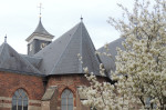 Schildkerk